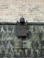 Vatican City - Miscellaneous-15